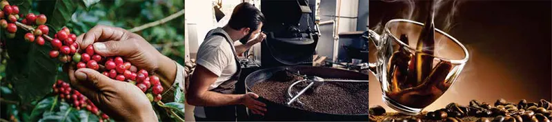 Sản phẩm Napoli Coffee about — Công Ty Cổ Phần Sản Xuất Thương Mại Xuất Nhập Khẩu Cà Phê Napoli — MST 0311927855