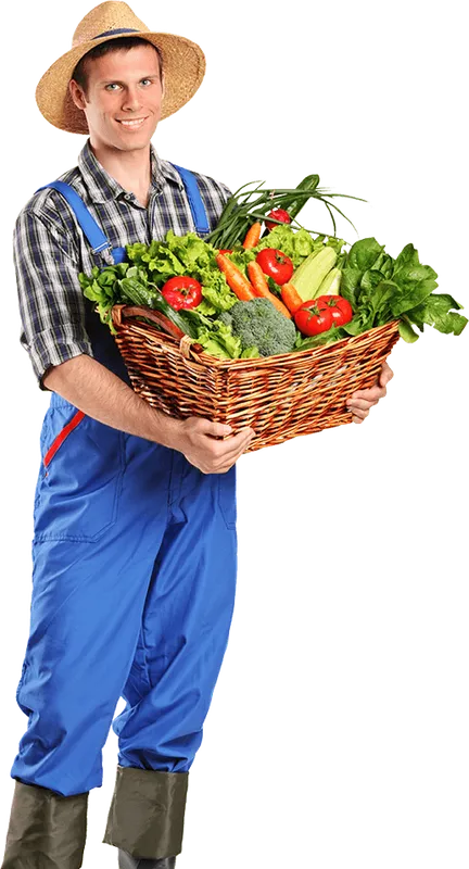 Sản phẩm img we — Công Ty TNHH Dịch Vụ Thực Phẩm Xanh — MST 0311938367