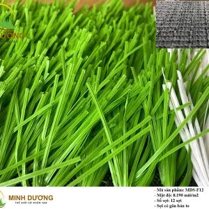 Sản phẩm co nhan tao MDS F12 300x300 — Công Ty TNHH Thể Thao Hòa Phát — MST 0311943712