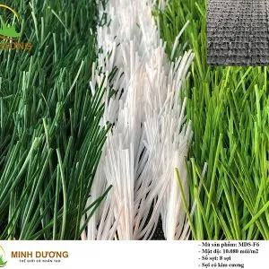 Sản phẩm co nhan tao MDS F6 300x300 — Công Ty TNHH Thể Thao Hòa Phát — MST 0311943712
