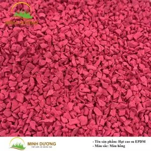 Sản phẩm hat cao su epdm 2 1 300x300 — Công Ty TNHH Thể Thao Hòa Phát — MST 0311943712