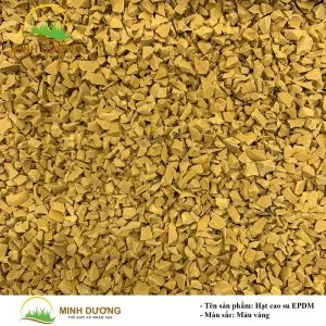 Sản phẩm hat cao su epdm 3 1 300x300 — Công Ty TNHH Thể Thao Hòa Phát — MST 0311943712