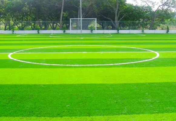 Sản phẩm co nhan tao san bong 581x400 — Công Ty TNHH Thể Thao Hòa Phát — MST 0311943712