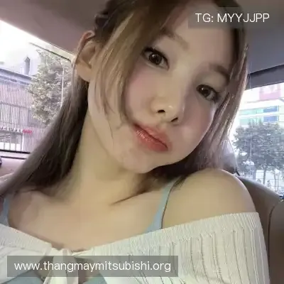 Sản phẩm li yue man team — Thang Máy MITSUBISHI - Công Ty CP Tập Đoàn Thang Máy MITSU LIFT — MST 0311949489