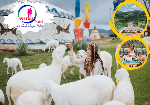 Sản phẩm Tour Da Lat 3 ngay 3 dem Mongoland — Công Ty TNHH Du Lịch Việt Du — MST 0311949753