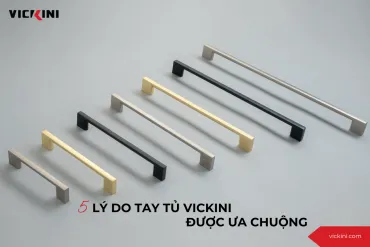 Sản phẩm 370_crop_09064_PCNT_ _5_ly_do_tay_tu_vickini_duoc_ua_chuong_600x400 — Công Ty Cổ Phần Kim Gia Phạm — MST 0311951583