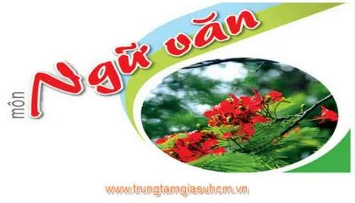 Sản phẩm trung tam gia su hcm 01 — Công Ty TNHH Tư Vấn Giáo Dục Đức Việt — MST 0311954721
