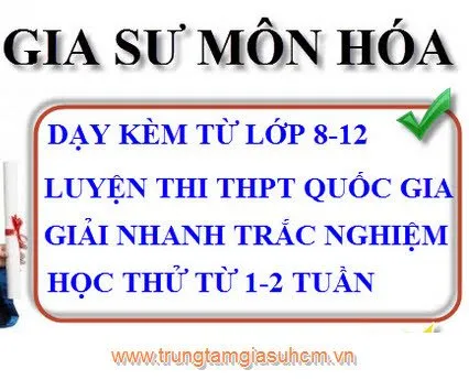 Sản phẩm trung tam gia su hcm 02 — Công Ty TNHH Tư Vấn Giáo Dục Đức Việt — MST 0311954721