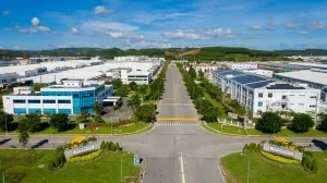 Sản phẩm cn qn 3 16959516661541958589404 300x168 — Vận Tải Hoa Việt - Công Ty TNHH Vận Tải Hoa Việt — MST 0311955161