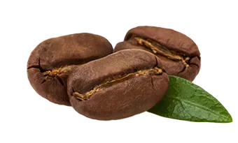 Sản phẩm coffee bean 2 — Công Ty Cổ Phần Cà Phê Vui — MST 0311977084