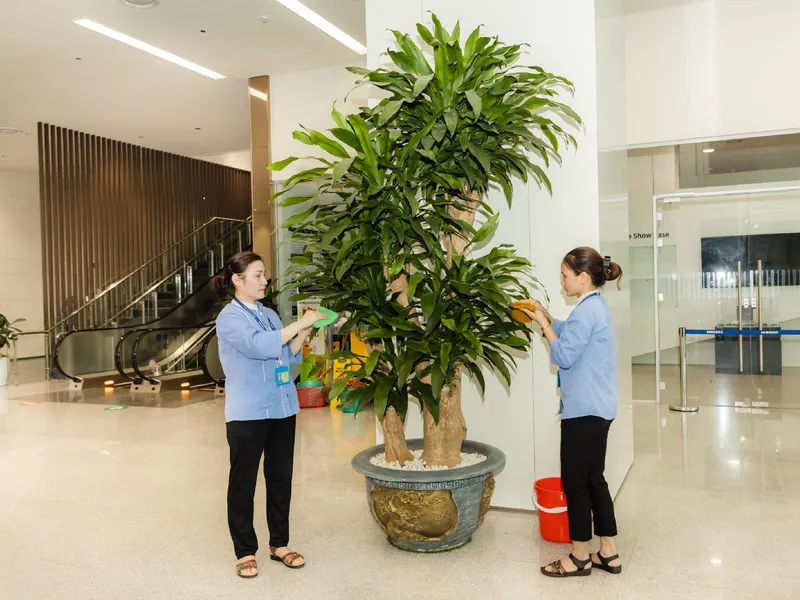 Sản phẩm t 01 01 01 01 01 min_06092023110830 — Công Ty TNHH Cleanhouse Việt Nam — MST 0312002852