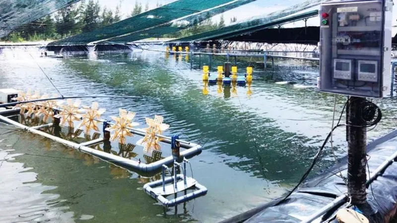 Sản phẩm giam sat do trong nuoi tom — Công Ty TNHH Khoa Học Và Kỹ Thuật REECO — MST 0312013290