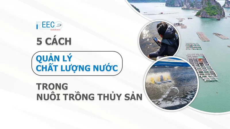 Sản phẩm quan ly chat luong nuoc trong thuy san — Công Ty TNHH Khoa Học Và Kỹ Thuật REECO — MST 0312013290