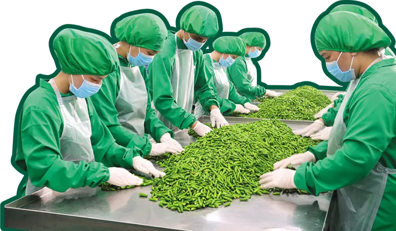 Sản phẩm home_sec_3_img — Công Ty Cổ Phần DH Foods — MST 0312015058