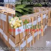 Văn phòng Công Ty TNHH Oil Care #169 — MST 0312022009