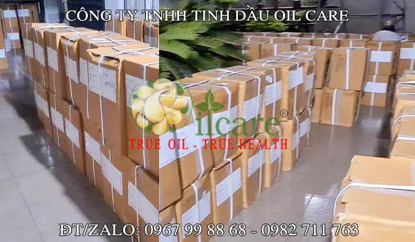 Văn phòng Công Ty TNHH Oil Care #? — MST 0312022009
