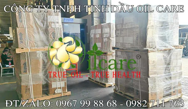 Văn phòng Công Ty TNHH Oil Care #? — MST 0312022009