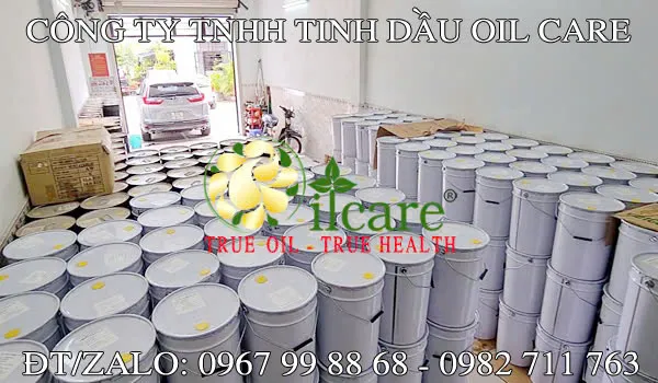 Văn phòng Công Ty TNHH Oil Care #? — MST 0312022009