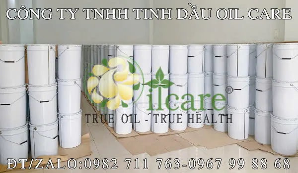 Văn phòng Công Ty TNHH Oil Care #? — MST 0312022009