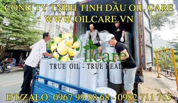 Văn phòng Công Ty TNHH Oil Care #? — MST 0312022009