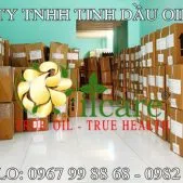 Văn phòng Công Ty TNHH Oil Care #169 — MST 0312022009