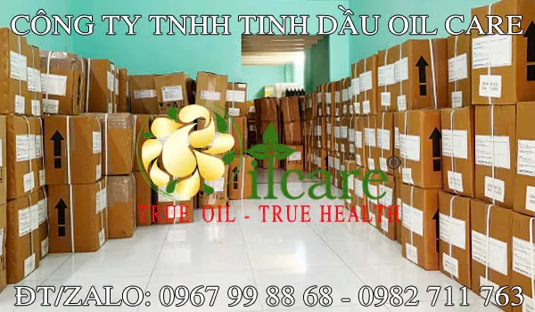 Văn phòng Công Ty TNHH Oil Care #? — MST 0312022009