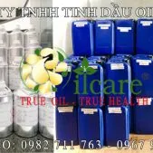 Văn phòng Công Ty TNHH Oil Care #169 — MST 0312022009