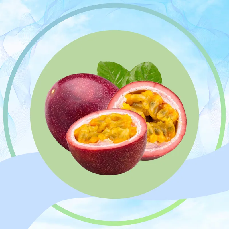 Sản phẩm MINH HOA CHANH DAY — Vật Liệu Chống Ẩm Secco HCSP - Công Ty Cổ Phần Tập Đoàn Secco HCSP — MST 0312025426