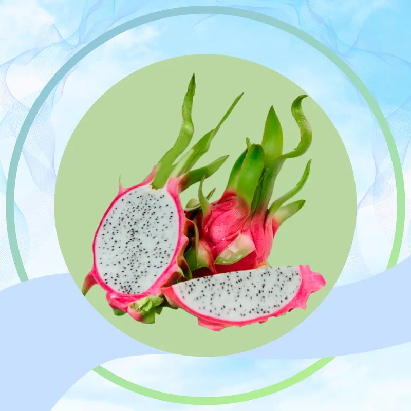 Sản phẩm MINH HOA THANH LONG — Vật Liệu Chống Ẩm Secco HCSP - Công Ty Cổ Phần Tập Đoàn Secco HCSP — MST 0312025426