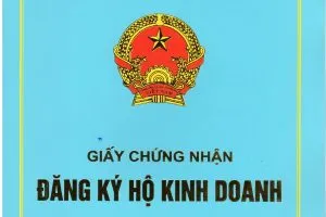 Sản phẩm hinh dang 300x200 — Công ty CP TV & CC GPQT Chuẩn Việt Vang — MST 0312032889