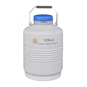 Sản phẩm binh chua nito long 6 lit 300x300 — Công Ty TNHH Khí Công Nghiệp Hùng Phát — MST 0312041160