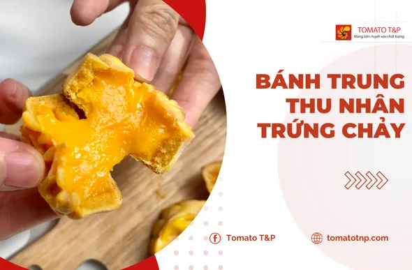Sản phẩm 1CLV3 — Công Ty TNHH Thương Mại Xuất Nhập Khẩu TOMATO T&P — MST 0312045447