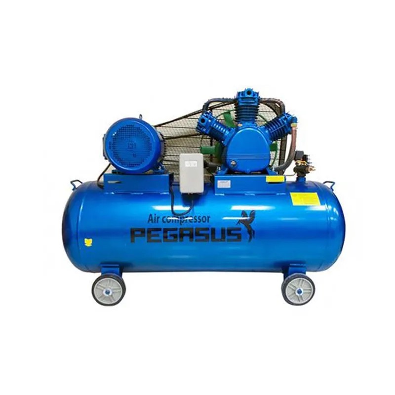 Sản phẩm may nen khi pegasus category — Công Ty TNHH Công Nghiệp Và Thương Mại Nam Việt — MST 0312045729