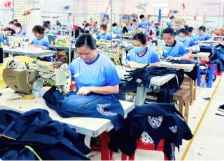 Văn phòng Công Ty TNHH Sản Xuất Thương Mại May Mặc Hòa Phát #? — MST 0312047483