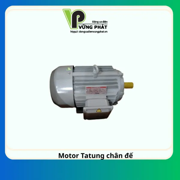 Sản phẩm Motor Tatung chan de 1 600x600 — Công Ty TNHH Thương Mại Dịch Vụ Kỹ Thuật Vững Phát — MST 0312058541