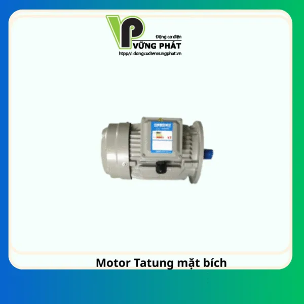 Sản phẩm Motor Tatung mat bich 1 600x600 — Công Ty TNHH Thương Mại Dịch Vụ Kỹ Thuật Vững Phát — MST 0312058541
