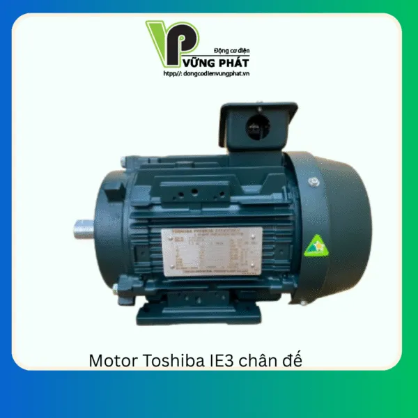 Sản phẩm Motor Toshiba IE3 chan de  600x600 — Công Ty TNHH Thương Mại Dịch Vụ Kỹ Thuật Vững Phát — MST 0312058541