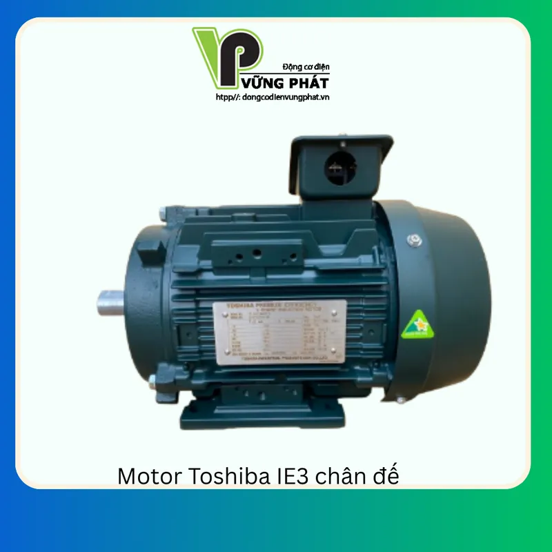 Sản phẩm Motor Toshiba IE3 chan de  — Công Ty TNHH Thương Mại Dịch Vụ Kỹ Thuật Vững Phát — MST 0312058541