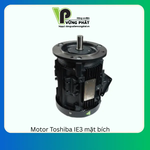 Sản phẩm Motor Toshiba IE3 mat bich 600x600 — Công Ty TNHH Thương Mại Dịch Vụ Kỹ Thuật Vững Phát — MST 0312058541