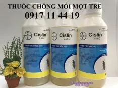 Sản phẩm cislin_1_l_t_ _copy_2__1_1 — Diệt Mối Trường An - Công Ty TNHH Thương Mại Dịch Vụ Tổng Hợp Trường An — MST 0312072232