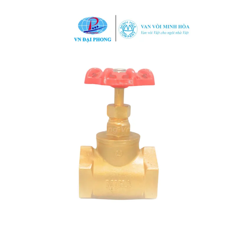 Sản phẩm van cau hoi dong miha minh hoa 800x800 — Công Ty TNHH VN Đại Phong — MST 0312084735