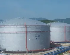 Sản phẩm bon chua xang dau 1649 — Công Ty Cổ Phần Thương Mại Kỹ Thuật Pet-Nor Lng — MST 0312087969