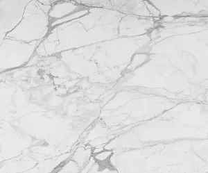 Sản phẩm da marble statuario variation — Công Ty CP Xây Dựng TM Kỹ Nghệ Đá Hoa Cương Vietstone — MST 0312093352