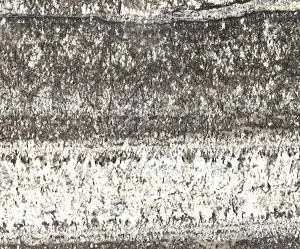 Sản phẩm da marble tremendal bordeave — Công Ty CP Xây Dựng TM Kỹ Nghệ Đá Hoa Cương Vietstone — MST 0312093352