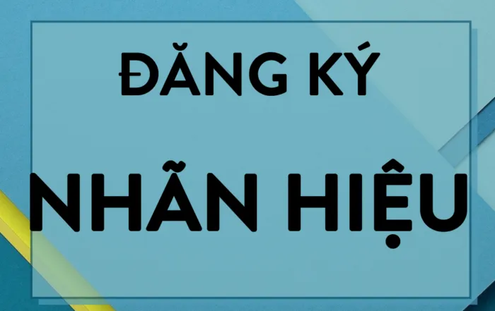 Sản phẩm Screen Shot 2021 11 16 at 09.23.41 700x441 — Luật INA - Công Ty Luật TNHH INA — MST 0312103956