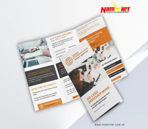 Sản phẩm in brochure — Công Ty TNHH Thương Mại Dịch Vụ In Nam Việt — MST 0312104815