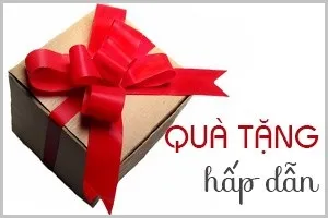 Sản phẩm qua tang hap dan_1 — Công Ty TNHH Thời Trang Việt Lê — MST 0312121377