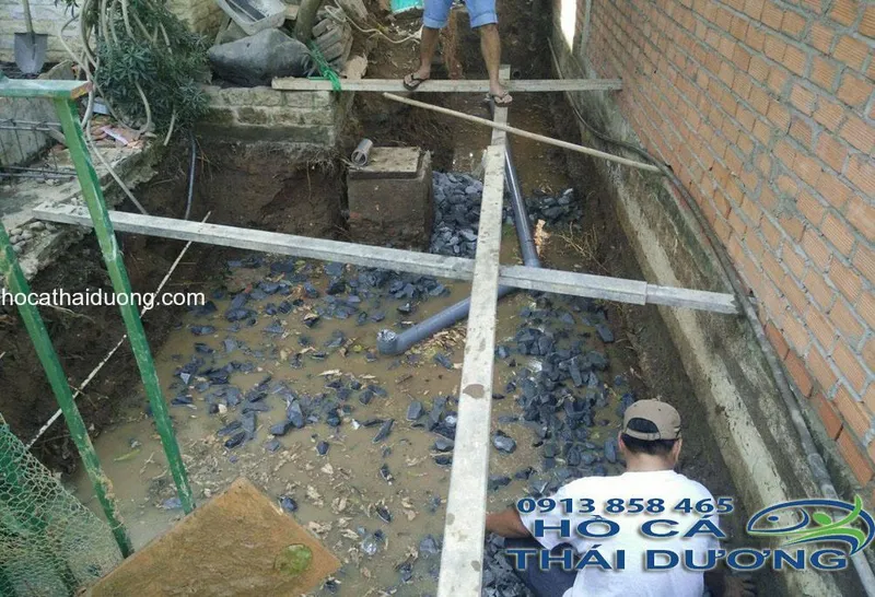 Sản phẩm ffff.jpgn_.jpga_ — Công Ty TNHH Sản Xuất Thương Mại Cá Kiểng Thái Dương — MST 0312134792