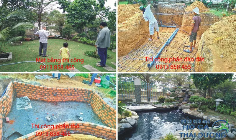 Sản phẩm hocakoi — Công Ty TNHH Sản Xuất Thương Mại Cá Kiểng Thái Dương — MST 0312134792