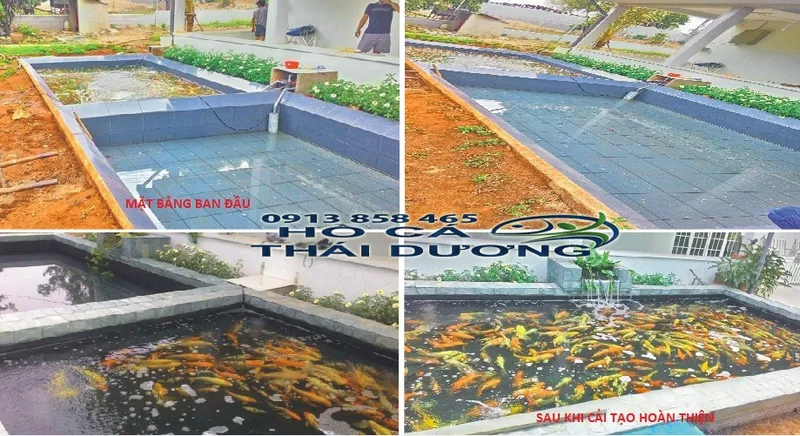 Sản phẩm DaS — Công Ty TNHH Sản Xuất Thương Mại Cá Kiểng Thái Dương — MST 0312134792